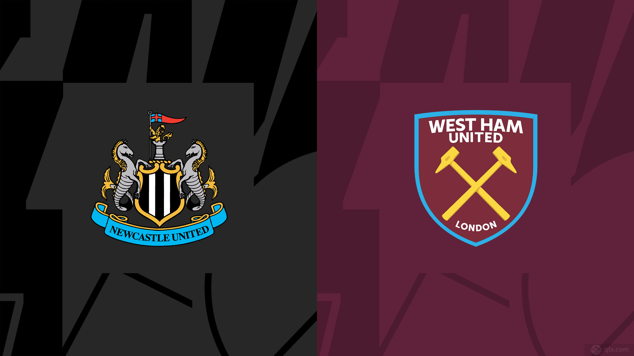 供的高蛋白 供的高蛋白