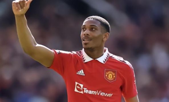 致力于增强 致力于增强